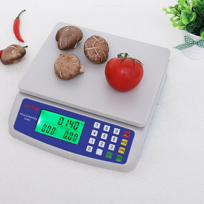 DT 580 DT580 40kg Digital Weight Scale Price Computing Food Meat Vege