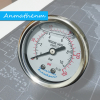 Pressure Gauge 10Bar 150PSI Import Grade Anmathenm