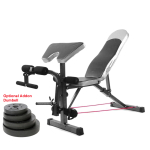 Gym Fitness Sit Up Dumbbell Bicep Leg Curl + Table Chair (Bench Only)